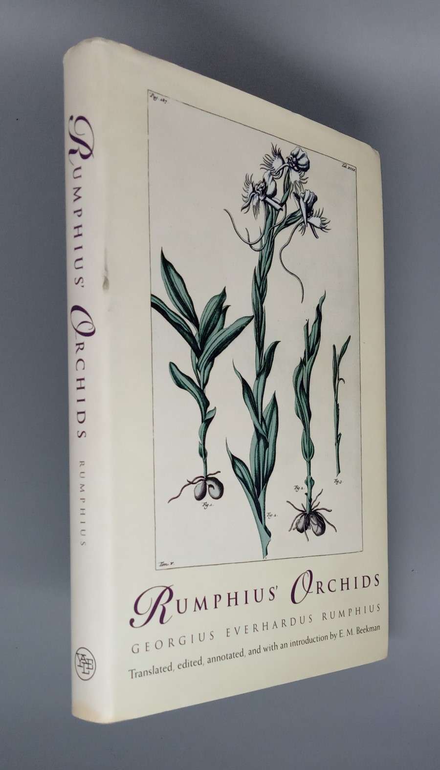 Rumphius' Orchids