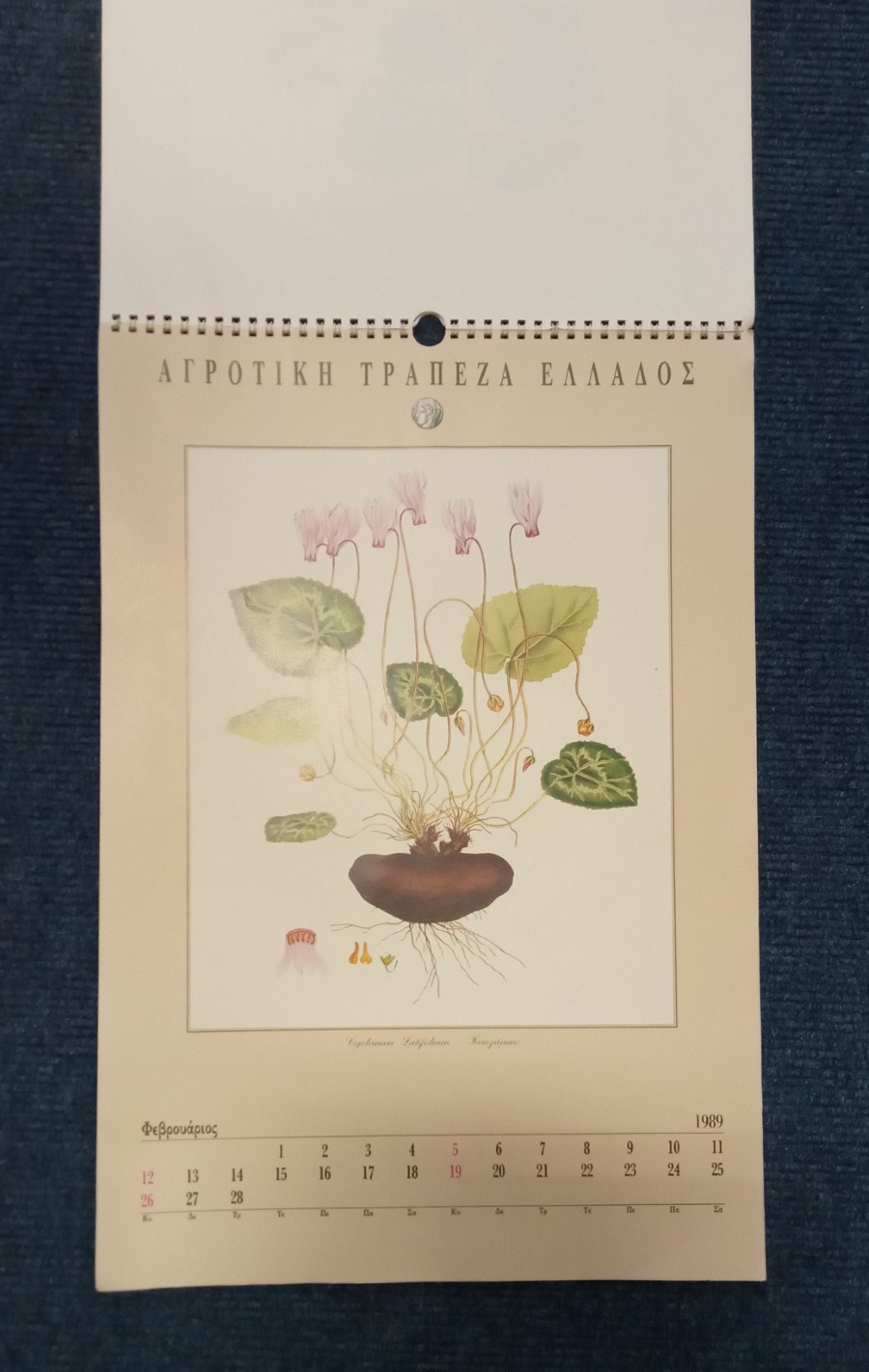 Flora Graeca Sibthorpiana (1989 large wall calendar)
