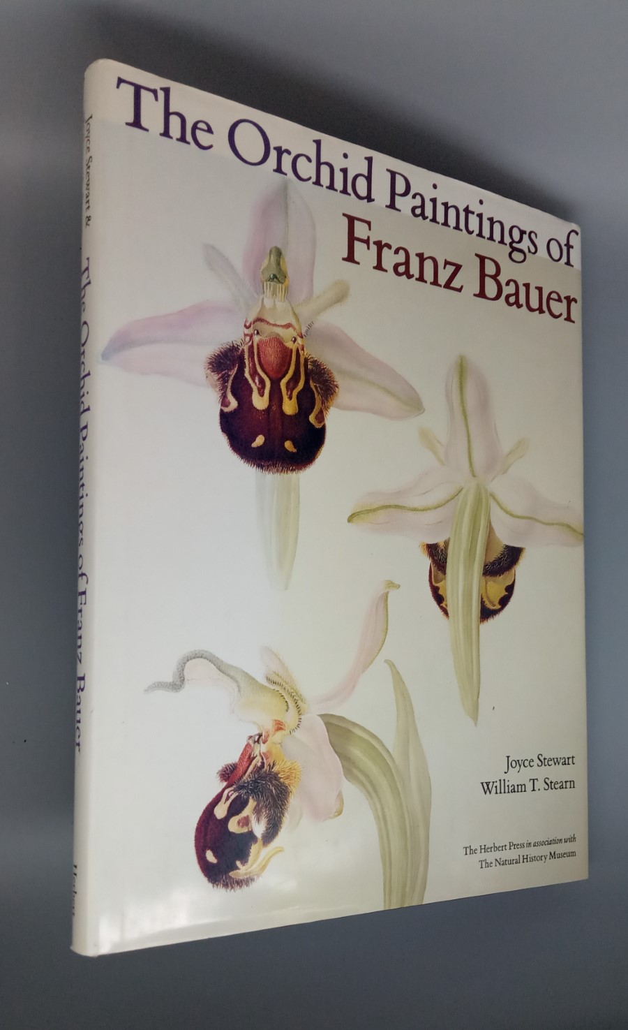 The Orchid Paintings of Franz Bauer