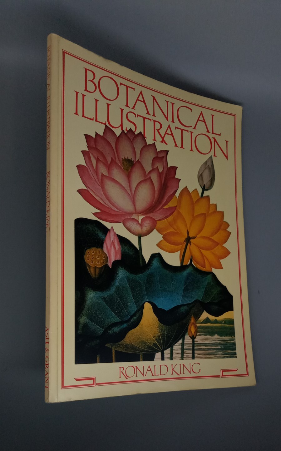 Botanical Illustration